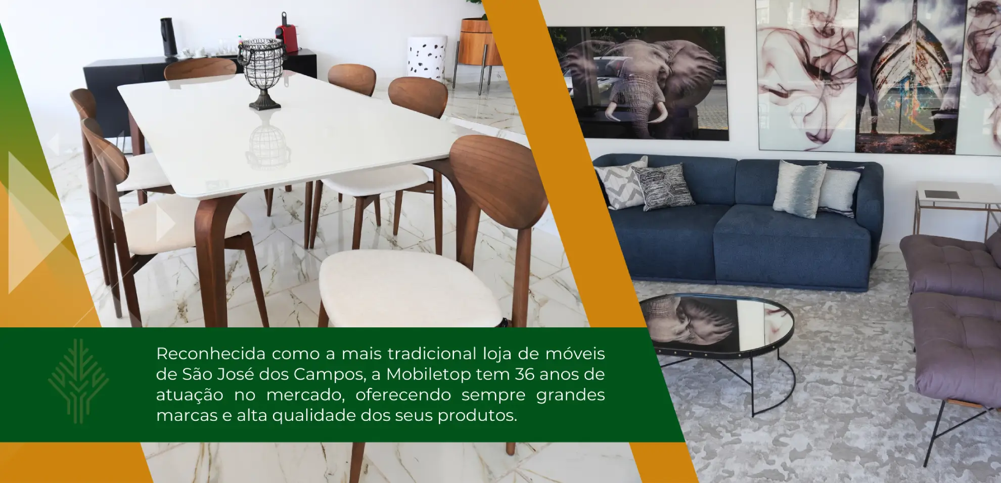 Responsive Image